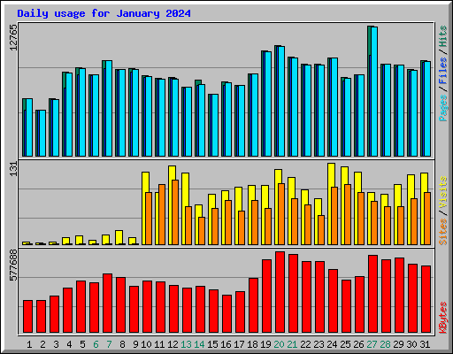 Daily usage for January 2024