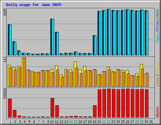 Daily usage for June 2025