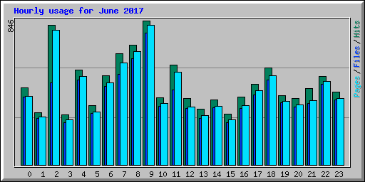 Hourly usage for June 2017