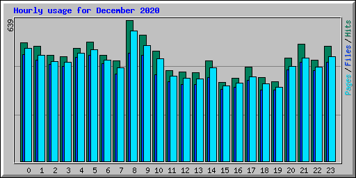 Hourly usage for December 2020