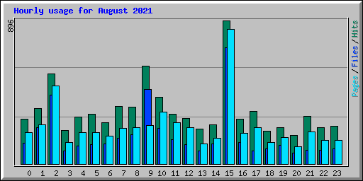 Hourly usage for August 2021