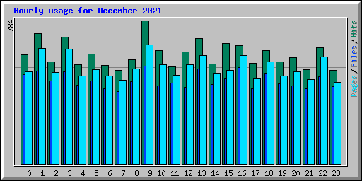 Hourly usage for December 2021