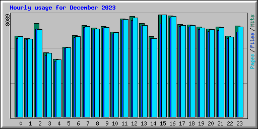 Hourly usage for December 2023