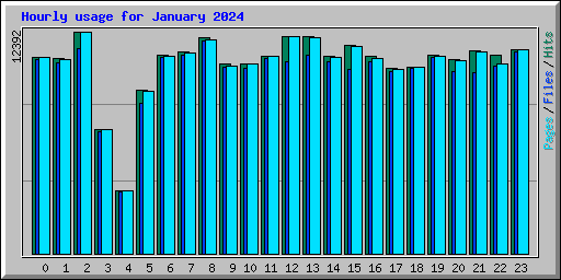 Hourly usage for January 2024