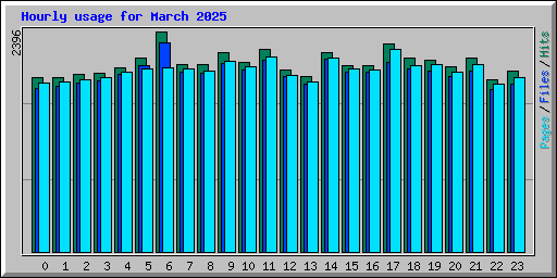 Hourly usage for March 2025
