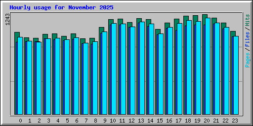 Hourly usage for November 2025
