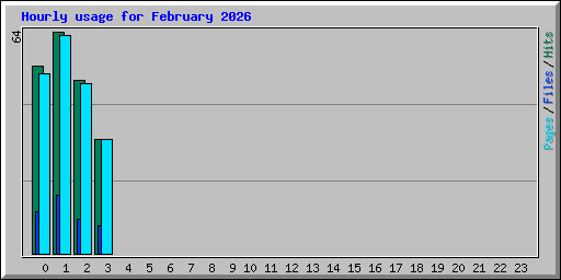 Hourly usage for February 2026