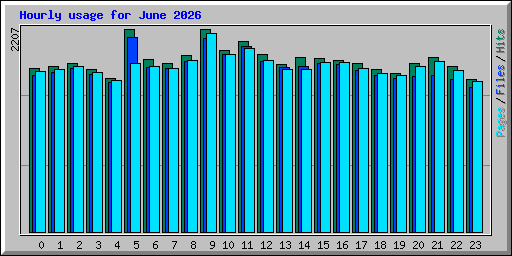 Hourly usage for June 2026