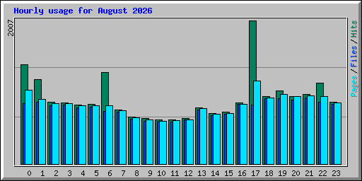 Hourly usage for August 2026